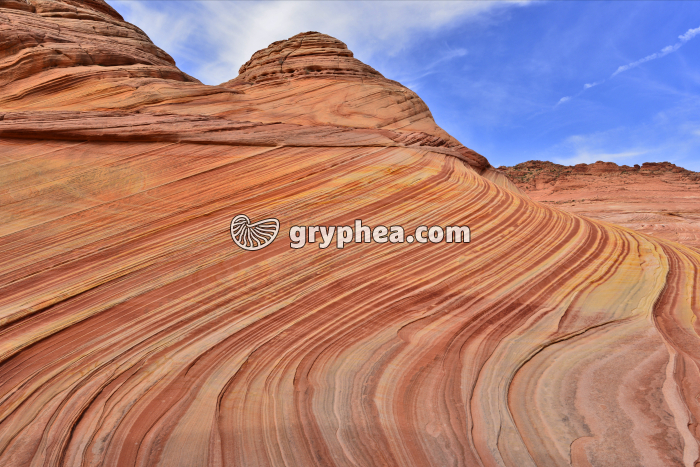Formations gréseuses - The Wave (Arizona, USA) - gryphea.org